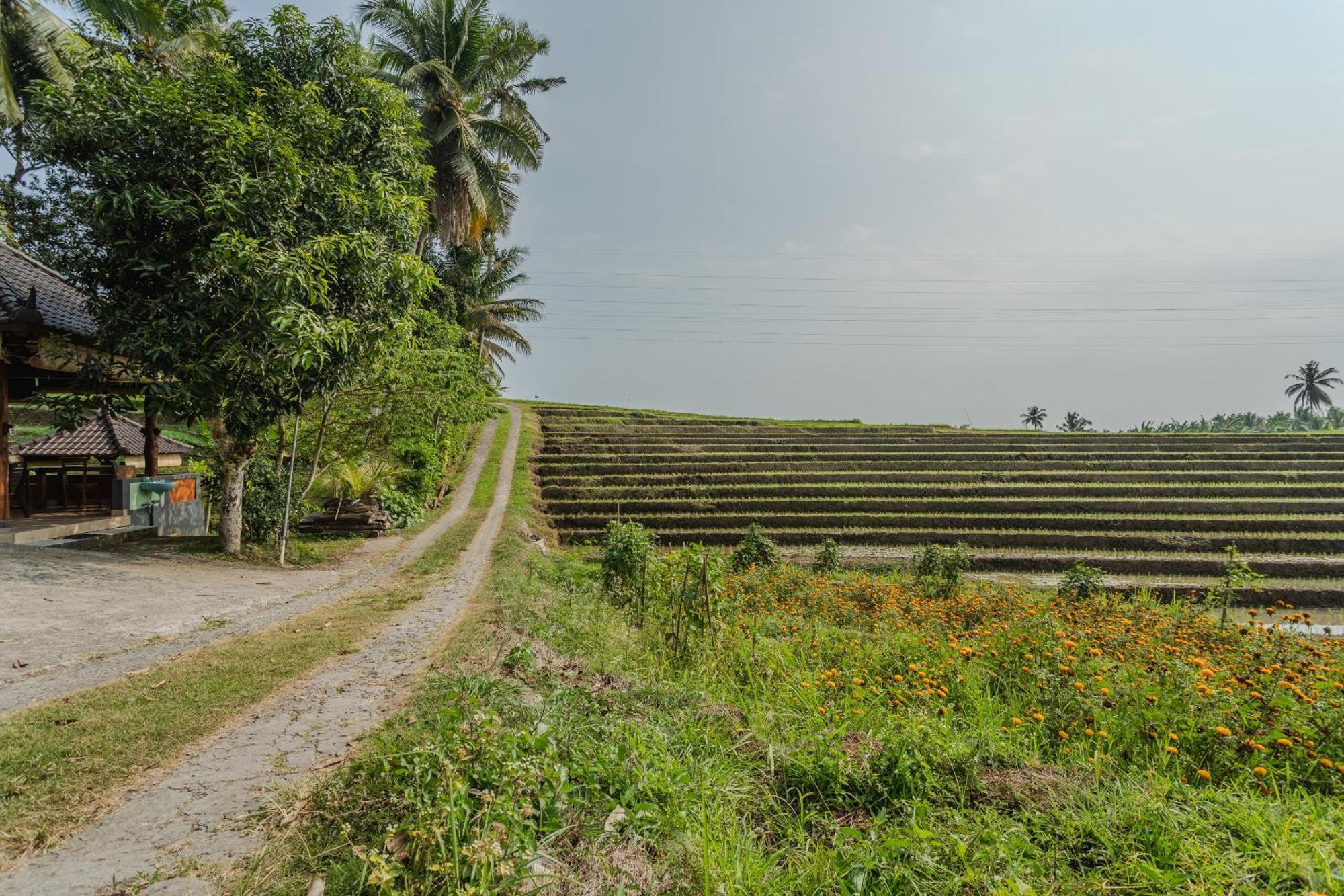Pondok Hari Baik Balian Bagian luar foto