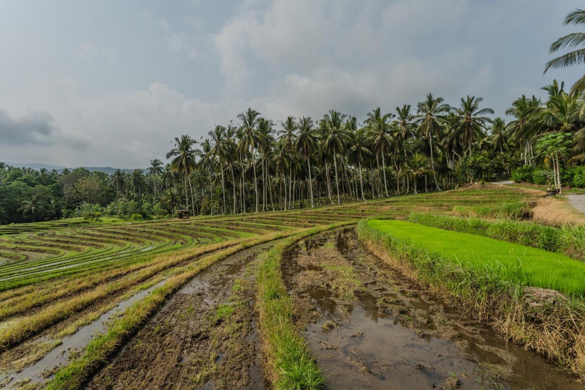 Pondok Hari Baik Balian Bagian luar foto